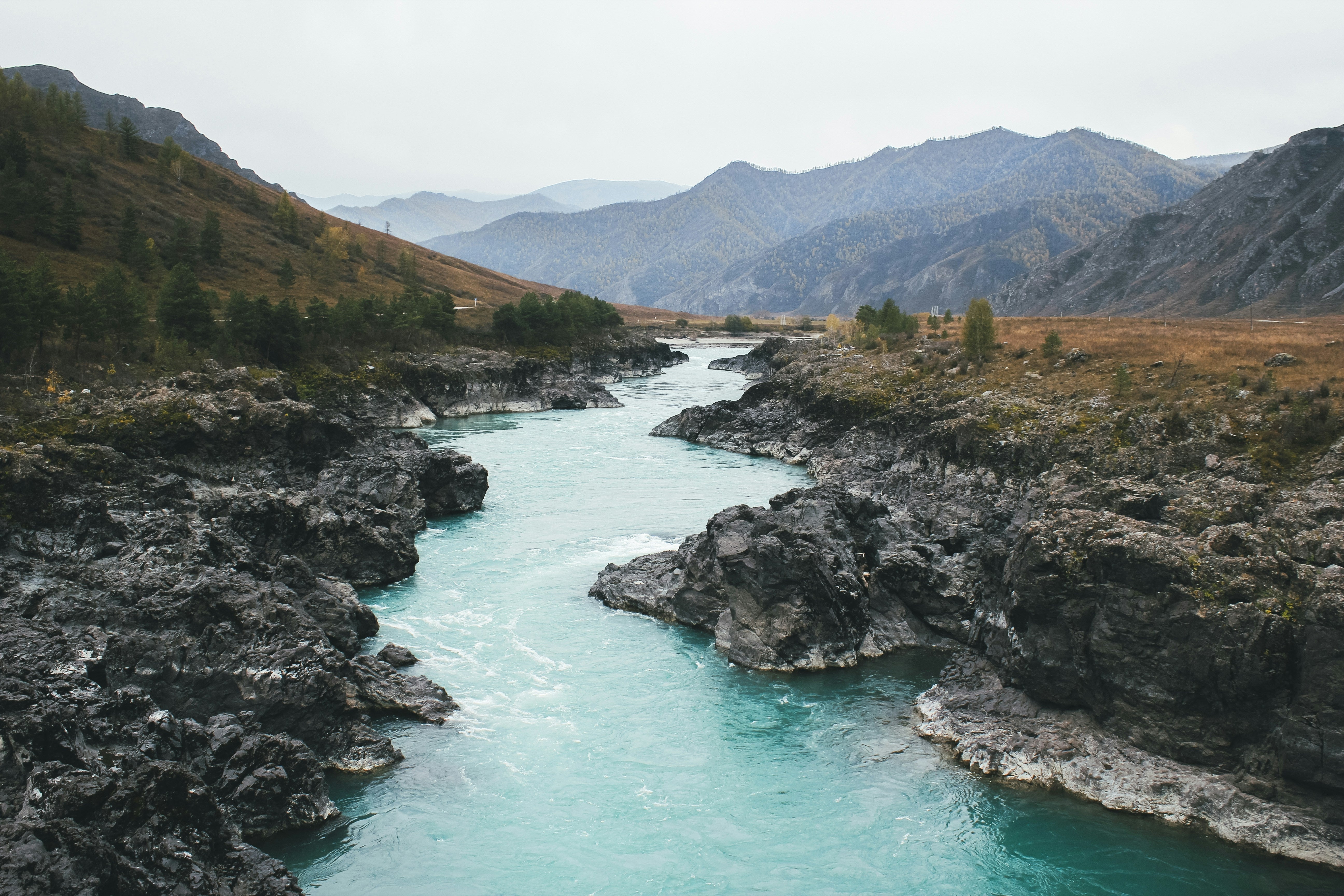 Turquoise river cutting through rocky mountain terrain in the Altai region of Russia, the landscape associated with Siberian Altai Shilajit and Mumiyo.