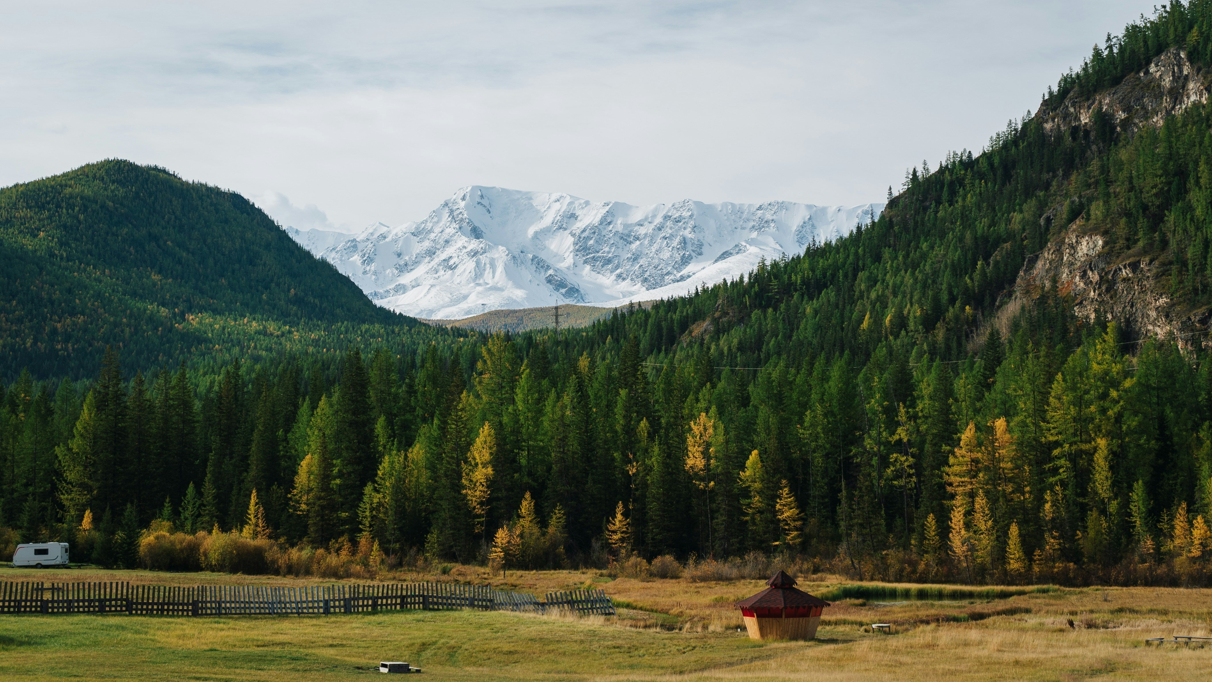 Altai vs Himalayan Shilajit: Which Is Better According to Science?