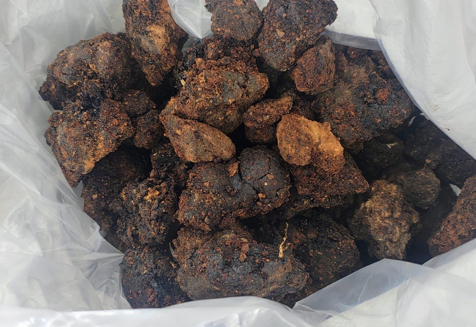 Raw Shilajit stones after collection.