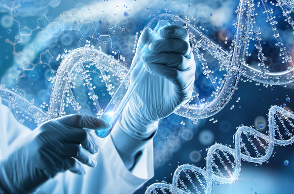 Methylation: What’s the Deal with the Latest Supplement Buzzword?