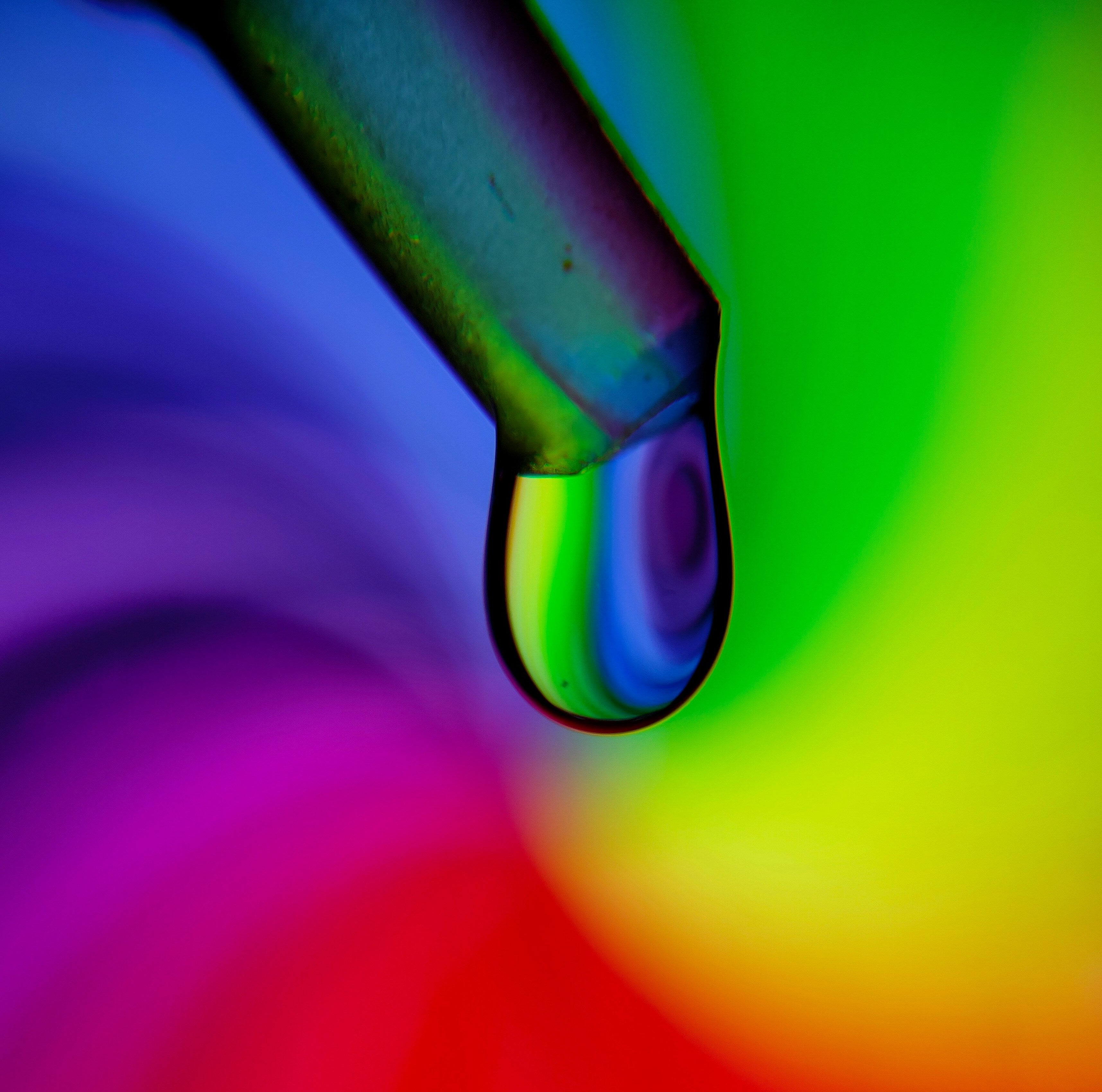 Pipette with liquid extract representing the difference between full spectrum and isolate supplement compounds.