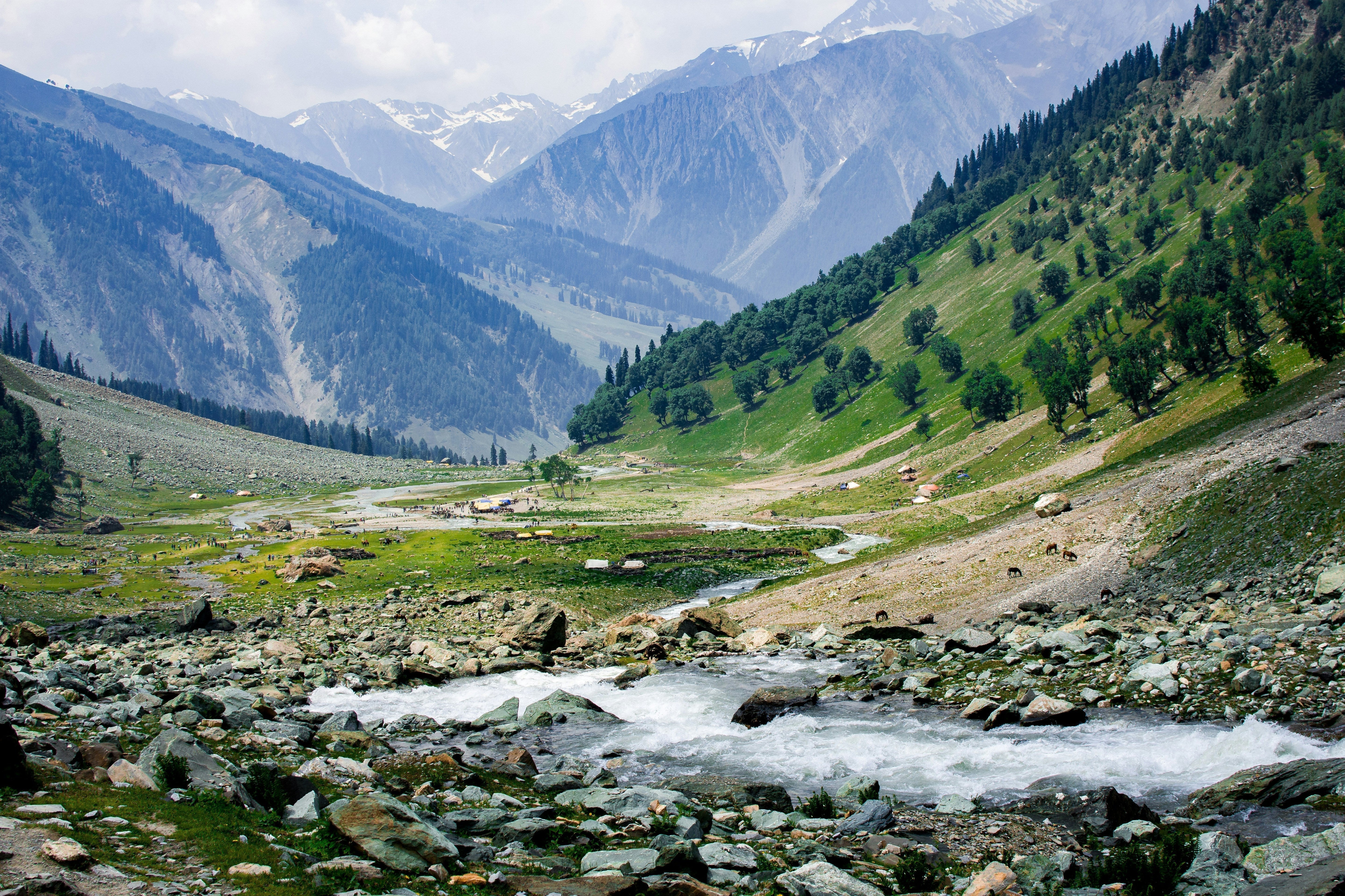 Kashmiri Shilajit: Tradition, Purification and the Myth of Raw
